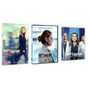 Grey's Anatomy Season 16, 17,18 (DVD) English only