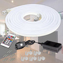 American Lighting Color Changing Neon Flex Light