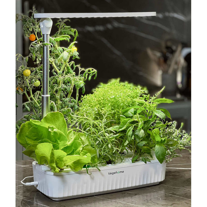 Vegehome Jardin Pro indoor Garden with 12 Pods Starter Kit