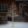 Holiday Birch Tree
