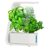 AeroGarden Sprout with Gourmet Herb Seed Pod Kit Plus Bonus Salad Greens Seed Pod Kit