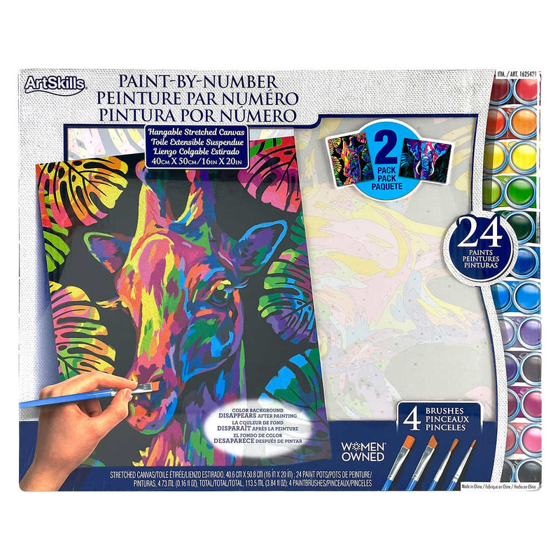 ArtSkills Adult Paint by Number Kits 2-pack