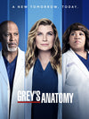Grey's anatomy Season Eighteenth [DVD] -English only